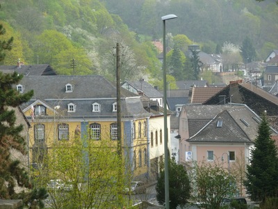 Blick über Burgbrohl