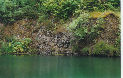 Konigssee Basalt fern